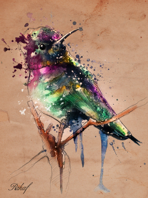 jedavu: Bird illustrations by Rahaf Dk Albab