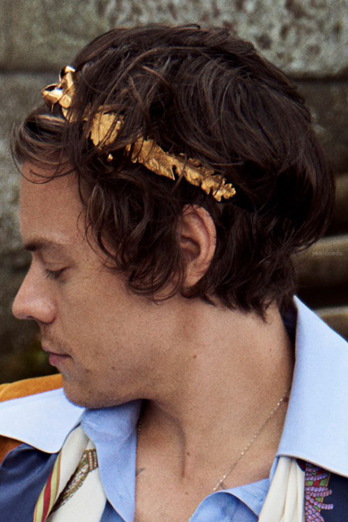 yeahloads:Harry Styles for Gucci Cruise 2019 Tailoring Campaign