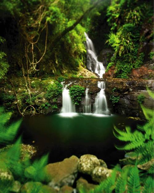 oceaniatropics: elabana falls, SE Queensland, Australia
