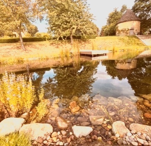 Inspiration For A Modern, Summertime, River Rock Pond In The Backyard.