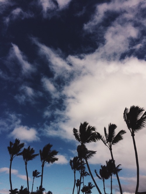 http://castawaylabel.tumblr.com/post/109182256053