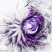 jesuisrien-e:Purple