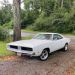 jacdurac:1969 Dodge Charger adult photos