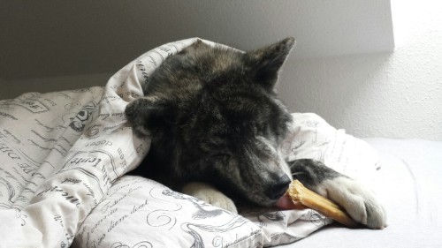 Time to get up!