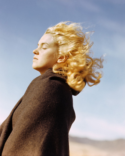 thecinamonroe:  Marilyn Monroe photographed by Andre de Dienes in a Malibu beach, Summer 1946.