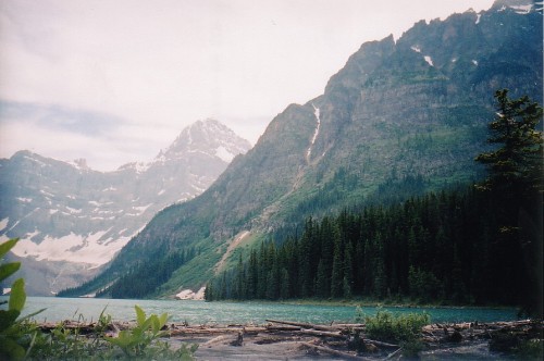 hipsterinthewilderness:  nature