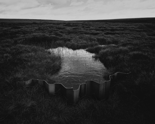 lazy-painting:  As we wander… 