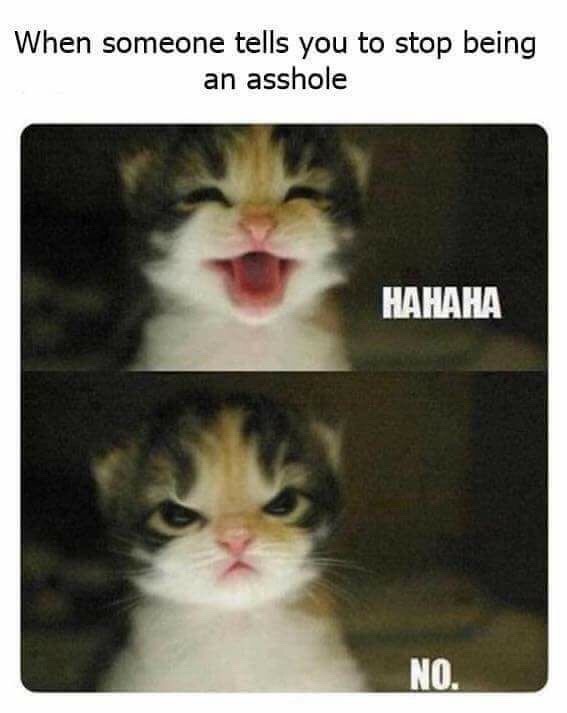 scarletxrose: