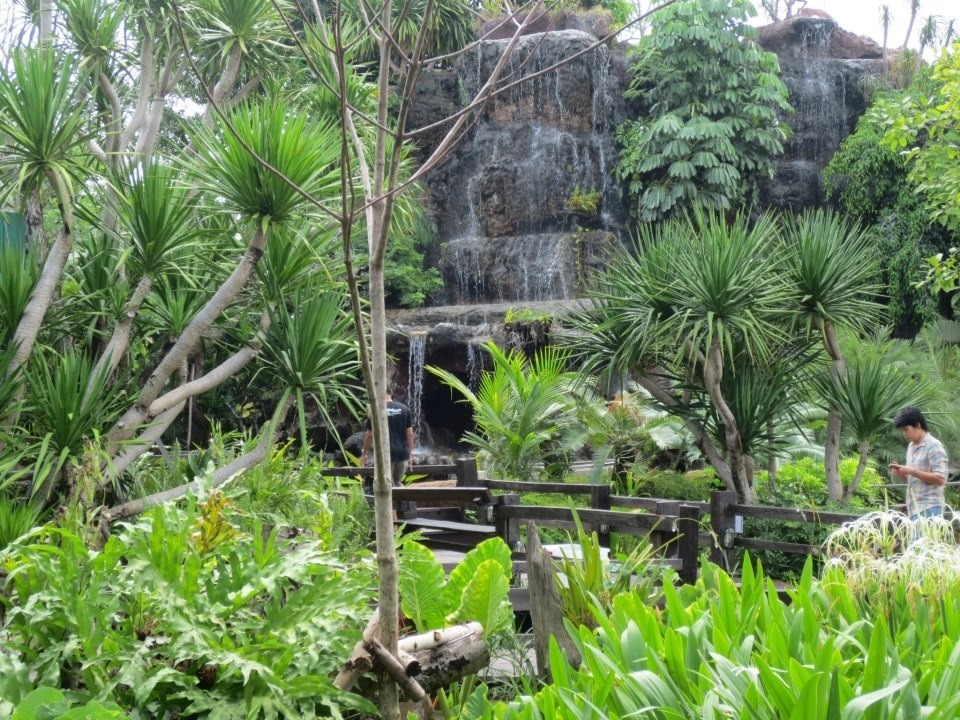 Tropical Blog