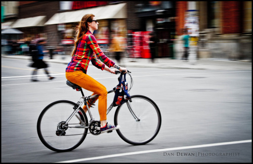 delightfulcycles: Nice colours (by Dan Dewan)