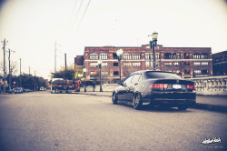 santarosaskys:  Acura TSX