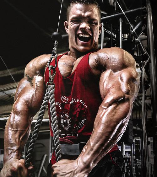   So you’ve done your research and you think you’re ready for your first cycle. Let me first tell you that the chances of you being ready based on your research is slim to none. In this article I hope to deliver important information that
