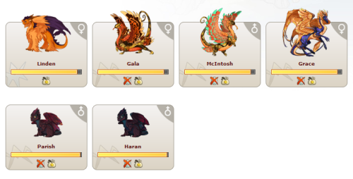 pumpkin-bread:We have some really really nice Autumnal dragons ready to go to new homes! All g2s exc