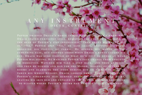 acarnivalofidiots: hp meme  9⁄9  fanfictionsAny Instrument - dicta_contrion // 