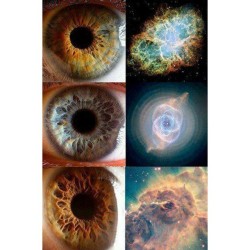 The Iris compared to Nebulae