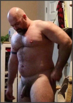 carson-bear:  meet your Daddy - 230K+ postedbearforest.com