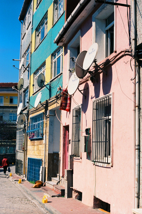 Gelato coloured apartment buildings in Istanbul’s Old Town