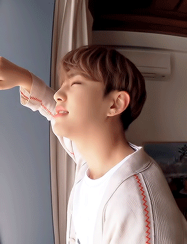 soft4hosh: carat’s viewpoint with hoshi aka the biggest flirt
