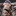 thomasmxller: Rose’s are read Bodies experience rigor mortis  