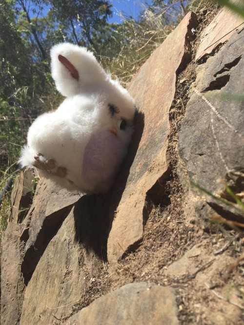 justfurbythings: furby craves that mineral