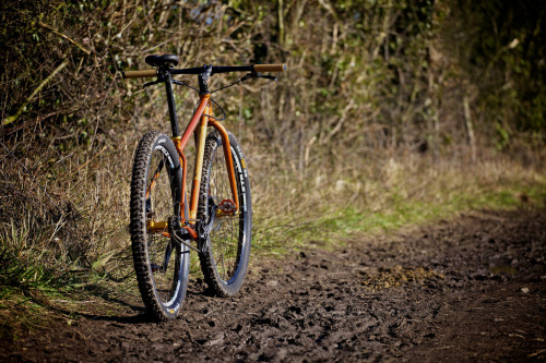 ds-12: Salsa El Mariachi Singlespeed (by placid casual)
