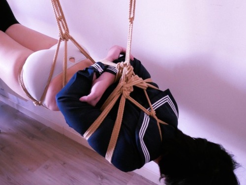 ropeart 178590615875 adult photos