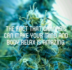 highquotesparadise:  ** The fact that cannabis