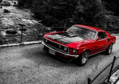 musclecars4ever
