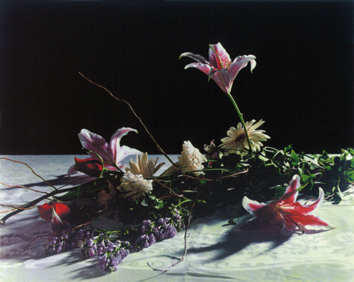 euo:   Christopher Williams, Bouquet, for Bas Jan Ader and Christopher D’Arcangelo, 1991.      