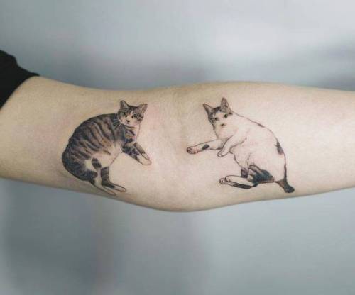 cutelittletattoos:Cat tattoos on the arm. Tattoo artist: Sol Tattoo