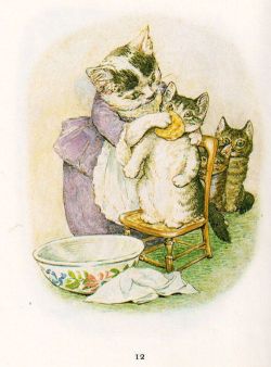 windypoplarsroom:  Beatrix Potter “The Tale of Tom Kitten” 