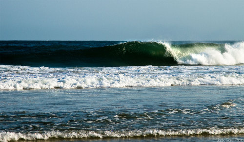 jackgorephoto:  Crispy East Coast empties 