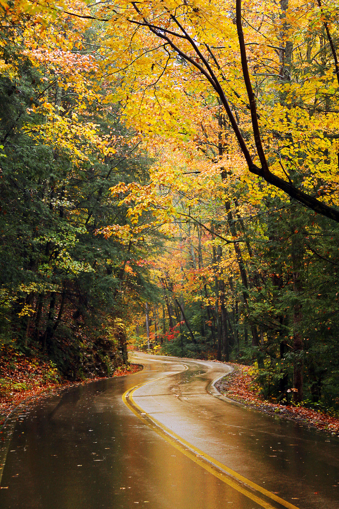 travelingcolors:  Signal Mountain Fall | Tennessee (by Virginia Bailey Photography)