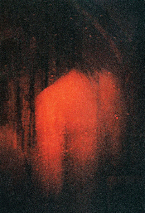 untrustyou:  Hasisi Park
