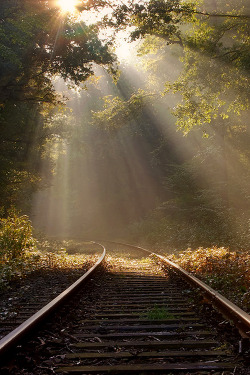 plasmatics:  Untitled by Waldemar Wienchol 