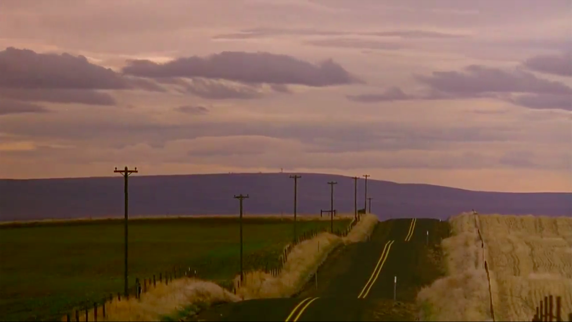 filmsinayear: film n°29:My Own Private Idaho, Gus Van Sant, 1991