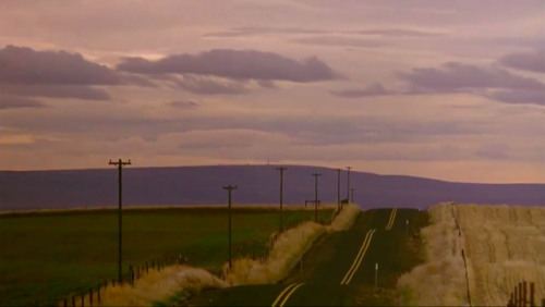 XXX filmsinayear: film n°29:My Own Private Idaho, photo