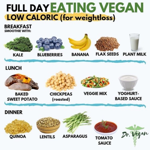 Reposted from @dr.vegan (@get_regrann) - FULL DAY OF EATING VEGAN (LOW CALORIC) ⁣ NOTE: these meals 