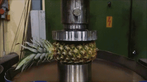 were-ralph:heraldofultimateness:slitherpunk:@were-ralph Wow what a short and concise