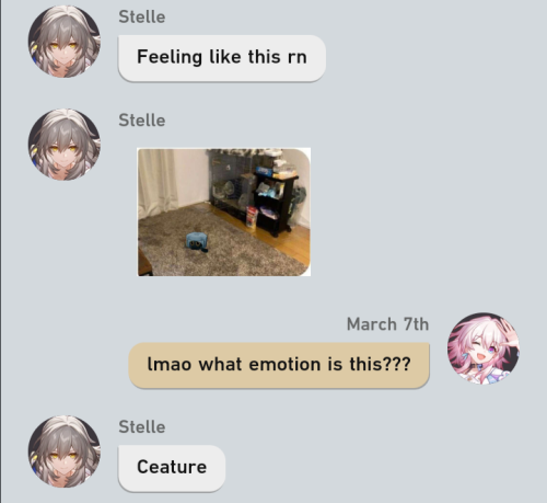 So I'm Pretty Sure We All Know About The HSR Chat Maker Now