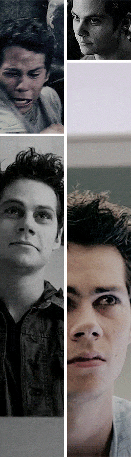 dylanholyhellobrien:  My followers asked me || Stiles Stilinski in season 3a or 3b? I’m straight up 