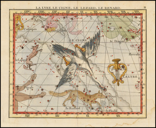 celestial-cartography:Lyra, Cygnus, Lacerta and Vulpecula constellations, from the French edition (1