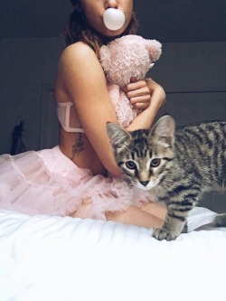 littlestkittyprincess:  babygirlsblog23:  My kitty decided she needed to be in the picture too.  This is so cute. 