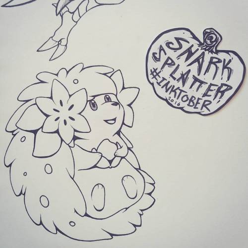 Day 14 of #Inktober! Land form #Shaymin! #Pokemon #Inktober2016 #Ink