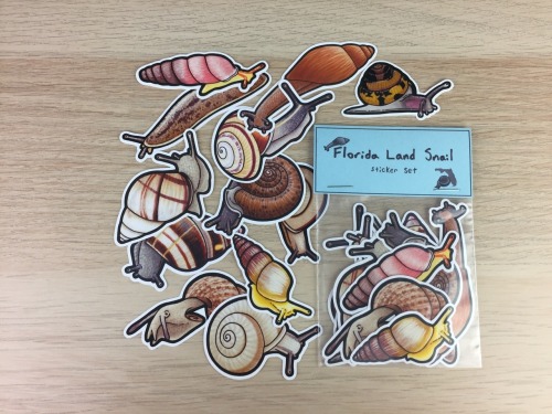 A special Floridian land snail sticker set has been added to my Etsy! All species in this set are ei