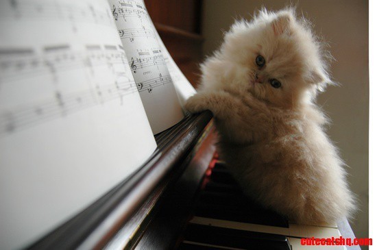 iamsojajaja:  http://www.msidallas.com/music-is-great-for-everyone/