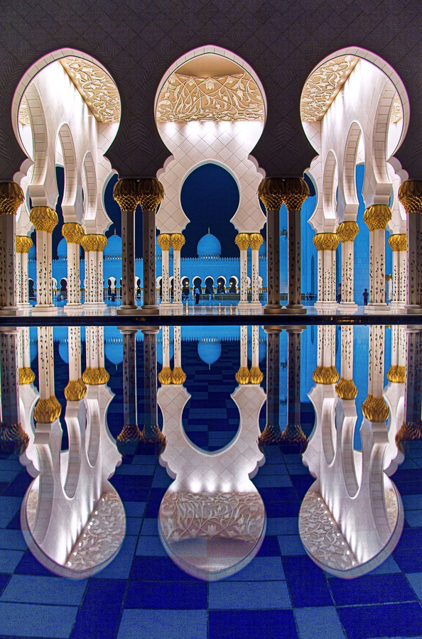 vicariousplacebo:  Reflection by FaizBaig 