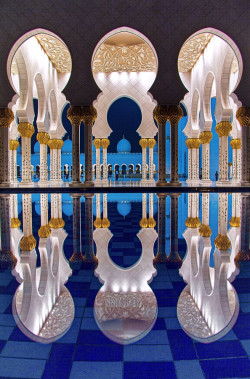 vicariousplacebo:  Reflection by FaizBaig