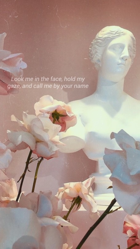 Lockscreens Call Me By Your Name Quotes Requested Like Or