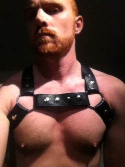 nippleplay87:  Forget the harness, I’d lead him around by those nipples.